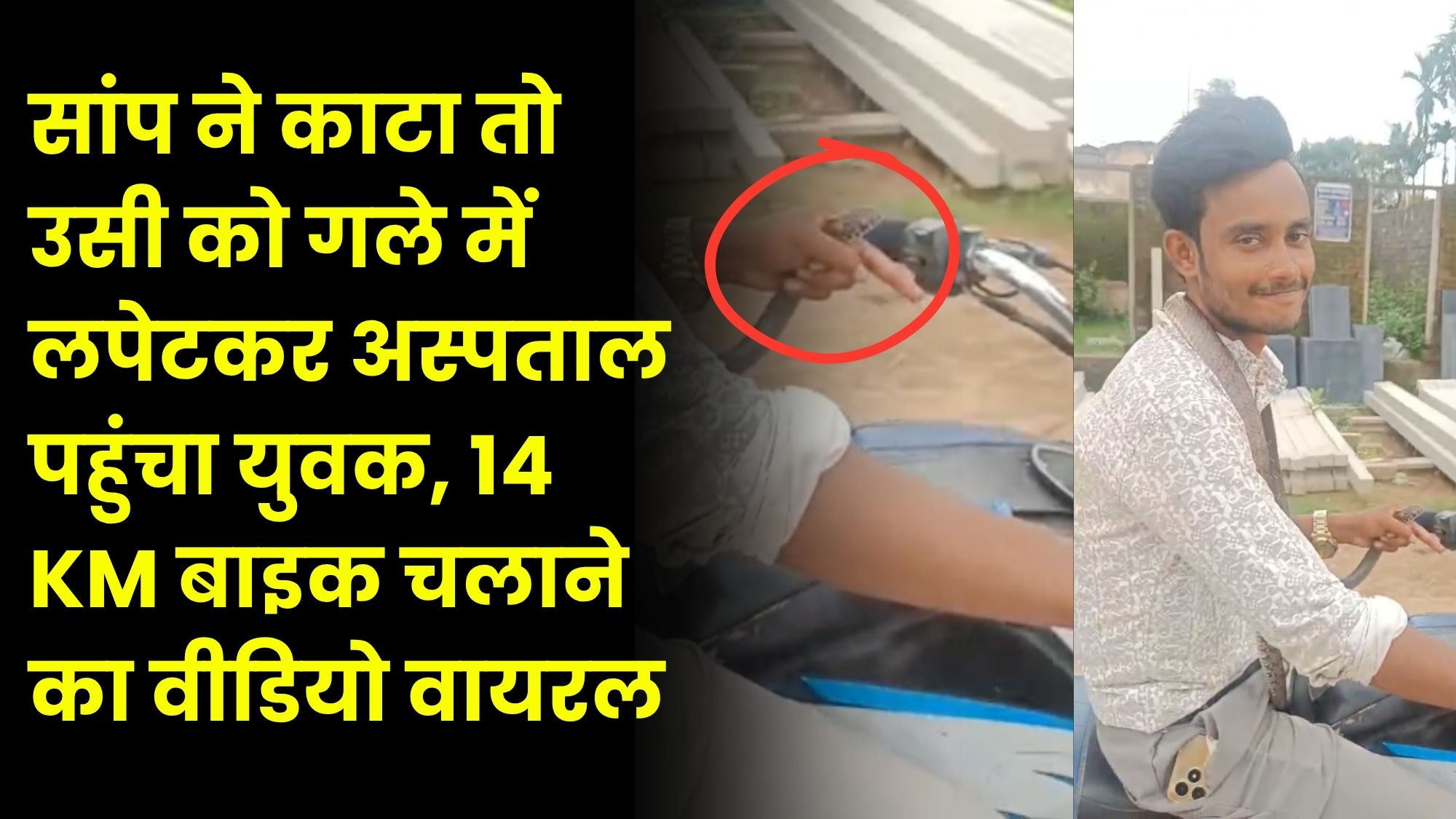 सांप ने काटा तो उसी को गले में लपेटकर अस्पताल पहुंचा युवक, 14 KM बाइक चलाने का वीडियो वायरल