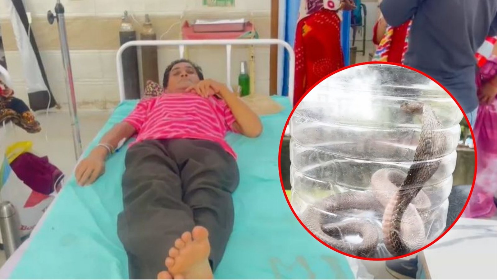कोरबा में कोबरा ने युवक को डसा, डॉक्टर ने पहचान के लिए सांप मंगवाया, स्नेक कैचर ने रेस्क्यू कर अस्पताल पहुंचाया