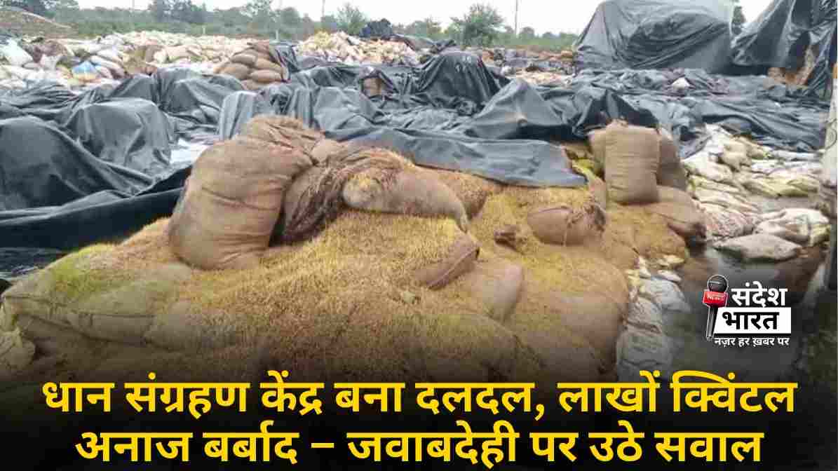 धान संग्रहण केंद्र बना दलदल, लाखों क्विंटल अनाज बर्बाद – जवाबदेही पर उठे सवाल