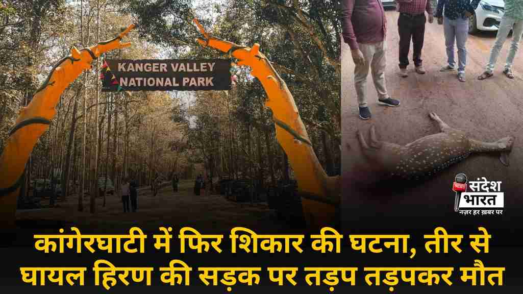 कांगेरघाटी में फिर शिकार की घटना, तीर से घायल हिरण की सड़क पर तड़प तड़पकर मौत