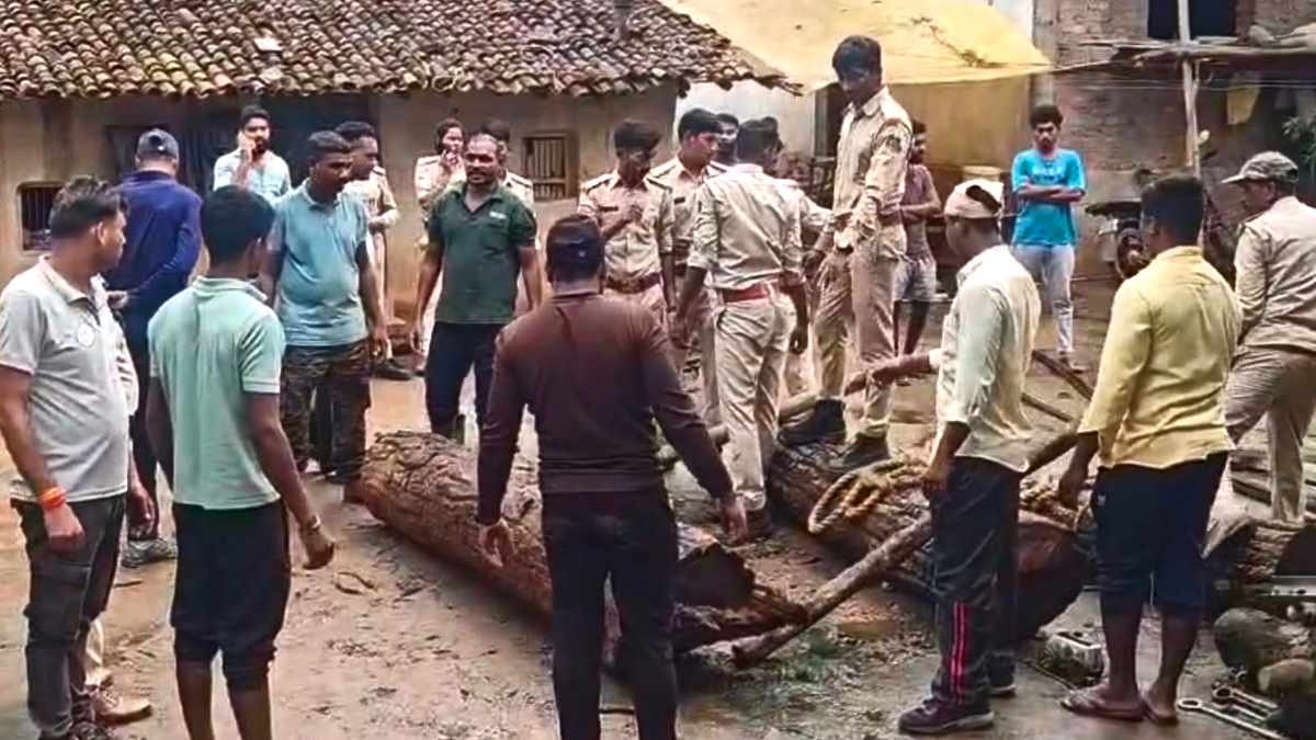 सीमा पार USTR की बड़ी कार्रवाई, ओडिशा में अंतर्राज्यीय सागौन तस्करी का भांडाफोड